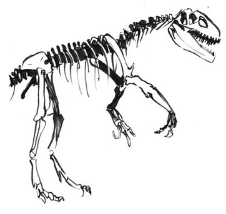 dino’s bones