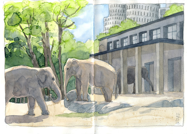 Der Zoo im Mai